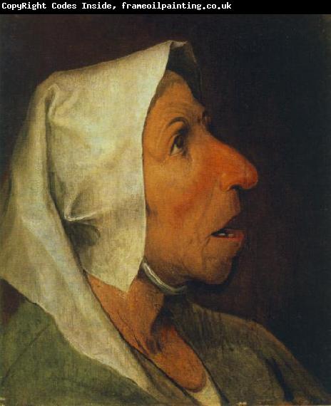 BRUEGEL, Pieter the Elder Portrait of an Old Woman  gfhgf